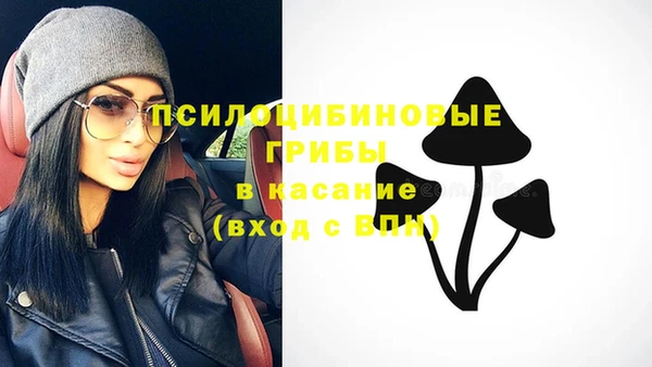 хмурый Ельня