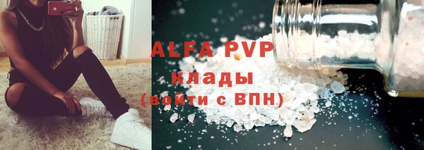 хмурый Ельня