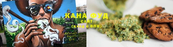 хмурый Ельня