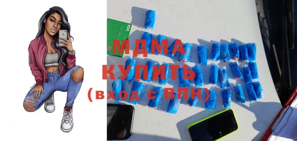 хмурый Ельня