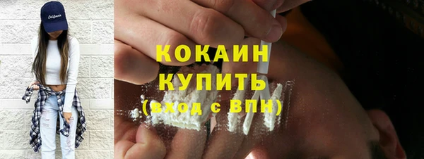хмурый Ельня