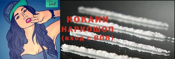 хмурый Ельня