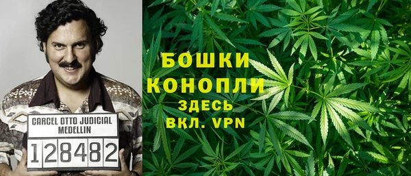 гидропоника Елабуга