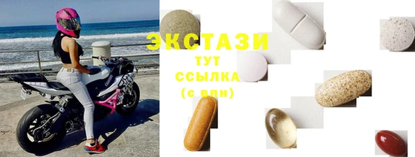 хмурый Ельня