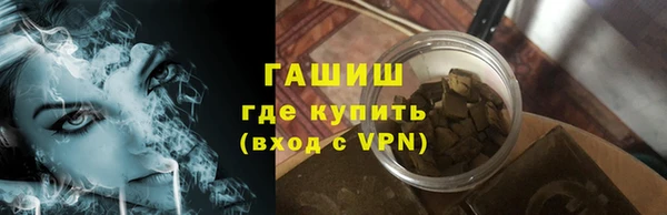 хмурый Ельня