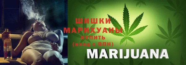гидропоника Елабуга