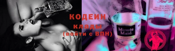 хмурый Ельня