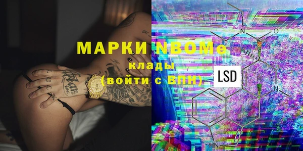 хмурый Ельня