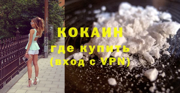 хмурый Ельня
