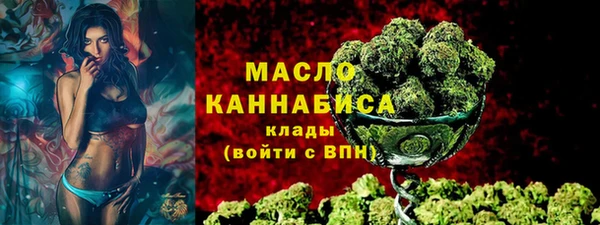 хмурый Ельня