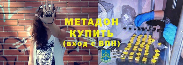 хмурый Ельня