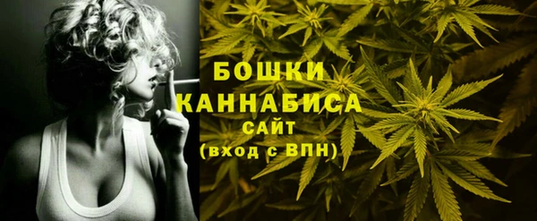 хмурый Ельня