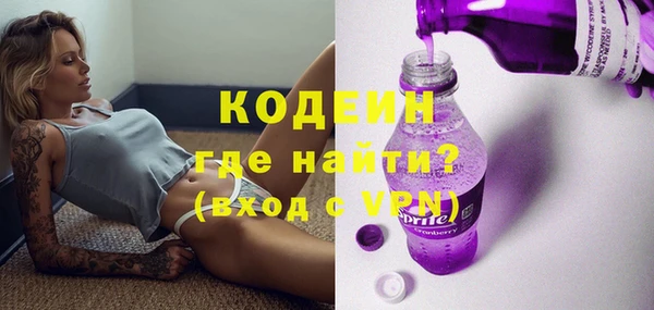 хмурый Ельня