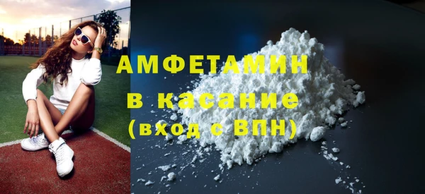 хмурый Ельня