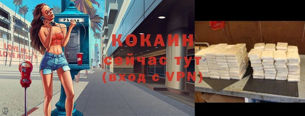 хмурый Ельня