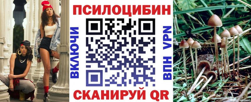 Псилоцибиновые грибы Psilocybine cubensis  Купить где  Майкоп 